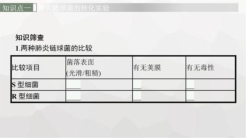 新教材高考生物一轮复习第6单元基因的本质与表达第1讲DNA是主要的遗传物质课件06