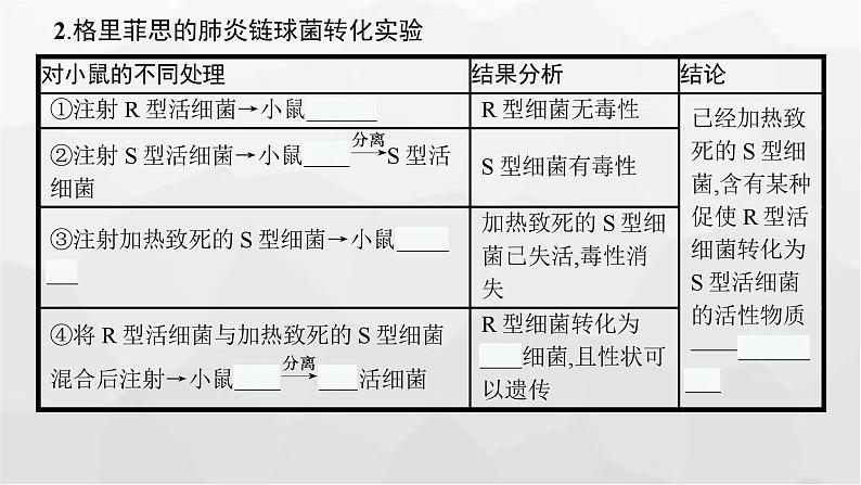 新教材高考生物一轮复习第6单元基因的本质与表达第1讲DNA是主要的遗传物质课件07