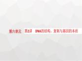 新教材高考生物一轮复习第6单元基因的本质与表达第2讲DNA的结构、复制与基因的本质课件