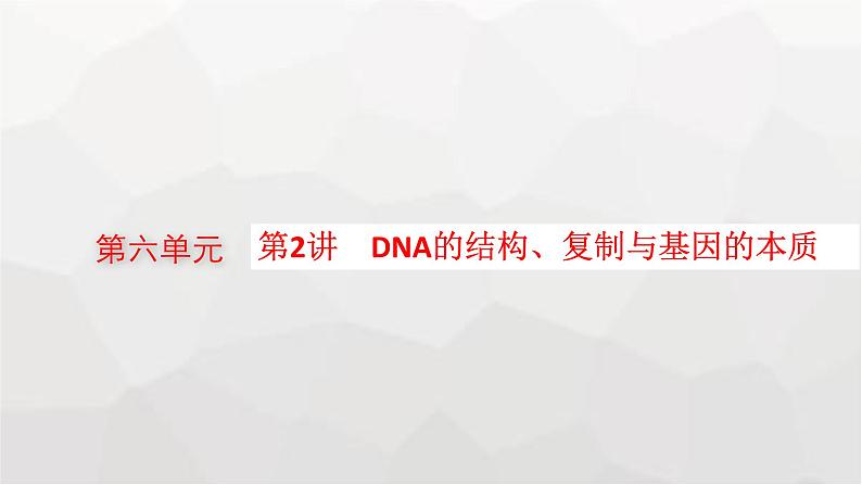 新教材高考生物一轮复习第6单元基因的本质与表达第2讲DNA的结构、复制与基因的本质课件01