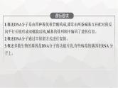 新教材高考生物一轮复习第6单元基因的本质与表达第2讲DNA的结构、复制与基因的本质课件