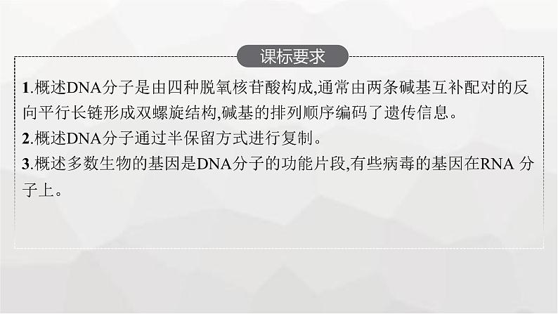 新教材高考生物一轮复习第6单元基因的本质与表达第2讲DNA的结构、复制与基因的本质课件02