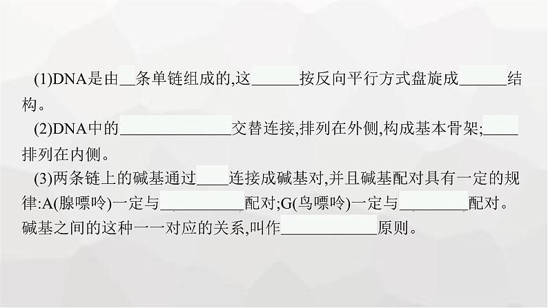 新教材高考生物一轮复习第6单元基因的本质与表达第2讲DNA的结构、复制与基因的本质课件08