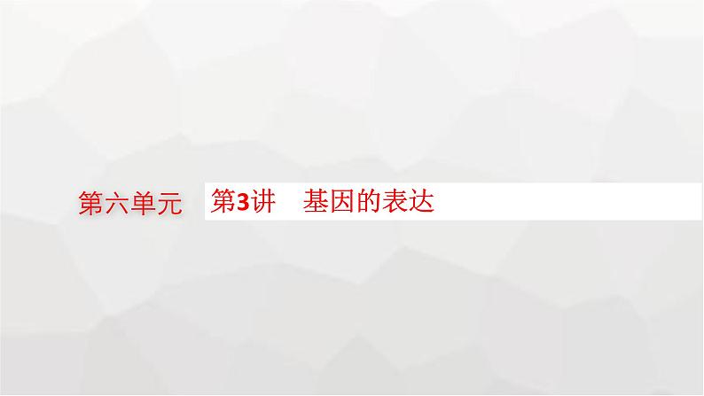 新教材高考生物一轮复习第6单元基因的本质与表达第3讲基因的表达课件第1页