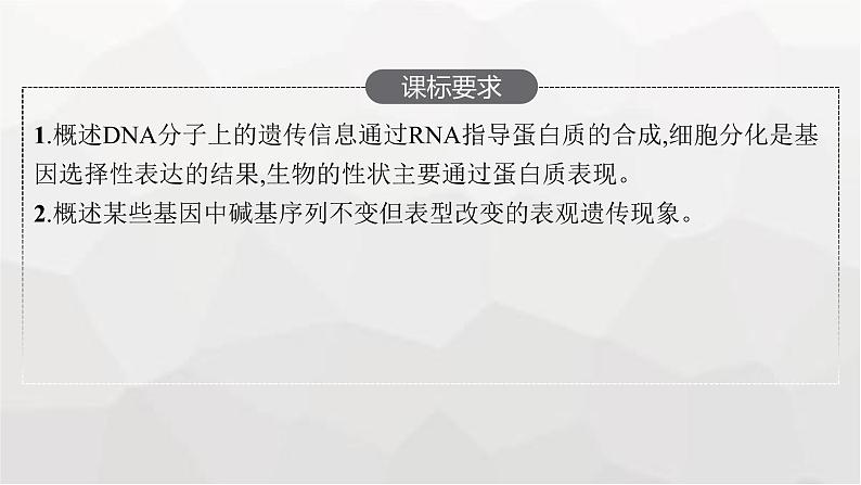 新教材高考生物一轮复习第6单元基因的本质与表达第3讲基因的表达课件第2页