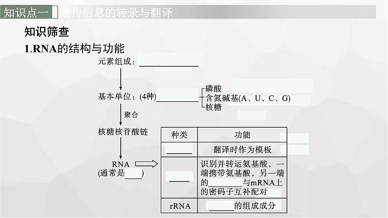 新教材高考生物一轮复习第6单元基因的本质与表达第3讲基因的表达课件第6页
