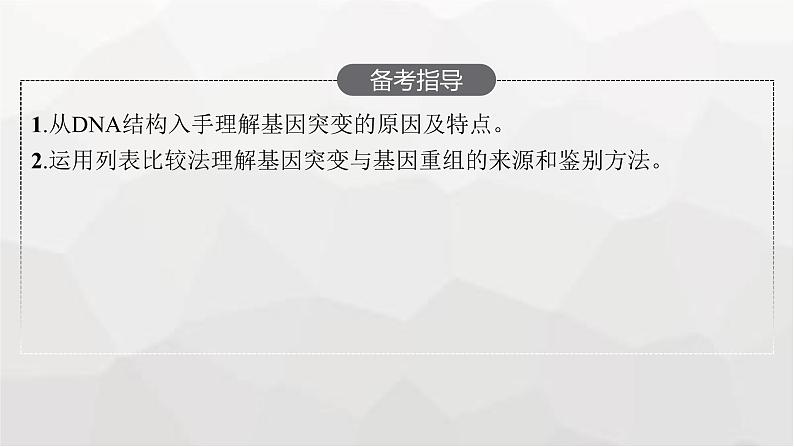 新教材高考生物一轮复习第7单元生物的变异和进化第1讲基因突变和基因重组课件03