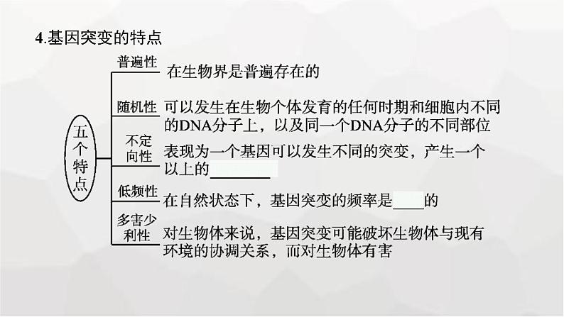 新教材高考生物一轮复习第7单元生物的变异和进化第1讲基因突变和基因重组课件08