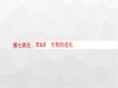 新教材高考生物一轮复习第7单元生物的变异和进化第3讲生物的进化课件