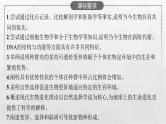 新教材高考生物一轮复习第7单元生物的变异和进化第3讲生物的进化课件