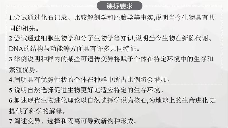 新教材高考生物一轮复习第7单元生物的变异和进化第3讲生物的进化课件第2页