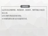 新教材高考生物一轮复习第7单元生物的变异和进化第3讲生物的进化课件