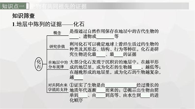 新教材高考生物一轮复习第7单元生物的变异和进化第3讲生物的进化课件06