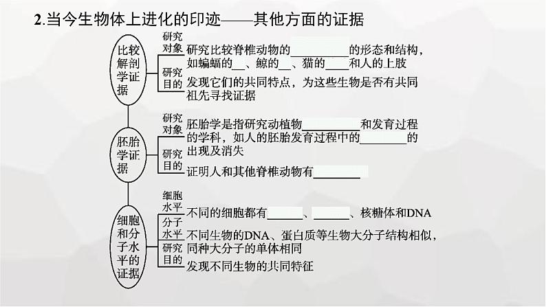 新教材高考生物一轮复习第7单元生物的变异和进化第3讲生物的进化课件07