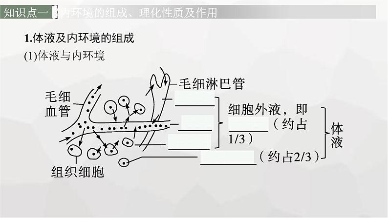 新教材高考生物一轮复习第8单元生命活动的调节第1讲人体的内环境与稳态课件06