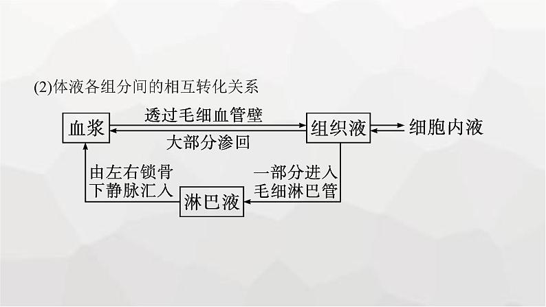 新教材高考生物一轮复习第8单元生命活动的调节第1讲人体的内环境与稳态课件07