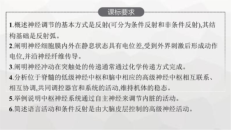 新教材高考生物一轮复习第8单元生命活动的调节第2讲神经调节课件02