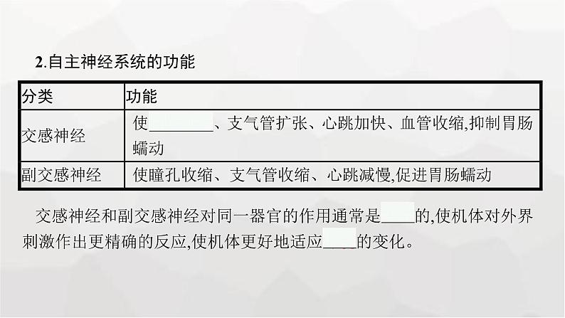 新教材高考生物一轮复习第8单元生命活动的调节第2讲神经调节课件07