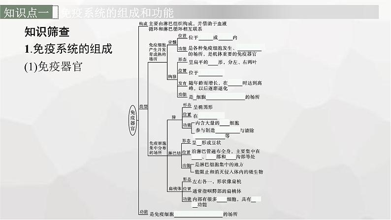 新教材高考生物一轮复习第8单元生命活动的调节第4讲免疫调节课件06