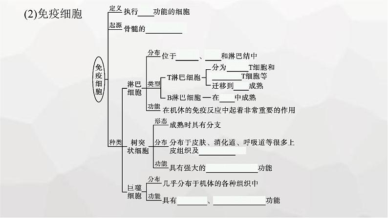 新教材高考生物一轮复习第8单元生命活动的调节第4讲免疫调节课件07