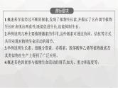 新教材高考生物一轮复习第8单元生命活动的调节第5讲植物生命活动的调节课件