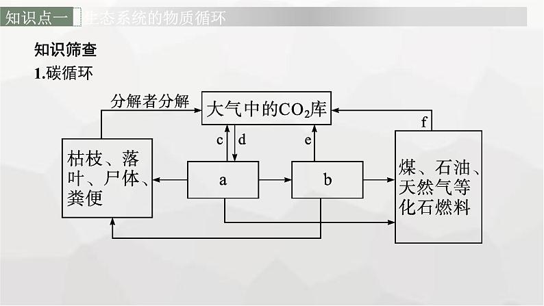 新教材高考生物一轮复习第9单元生物与环境第4讲生态系统的物质循环、信息传递和稳定性课件06