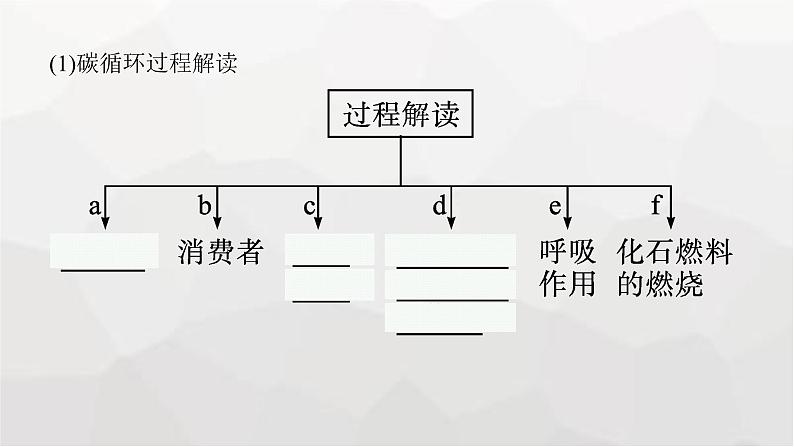 新教材高考生物一轮复习第9单元生物与环境第4讲生态系统的物质循环、信息传递和稳定性课件07