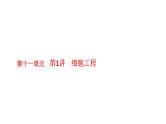 新教材高考生物一轮复习第11单元细胞工程、基因工程及生物技术的安全性与伦理问题第1讲细胞工程课件