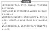 新教材高考生物一轮复习第11单元第2讲基因工程及生物技术的安全性与伦理问题课件
