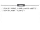 新教材高考生物一轮复习第11单元第2讲基因工程及生物技术的安全性与伦理问题课件