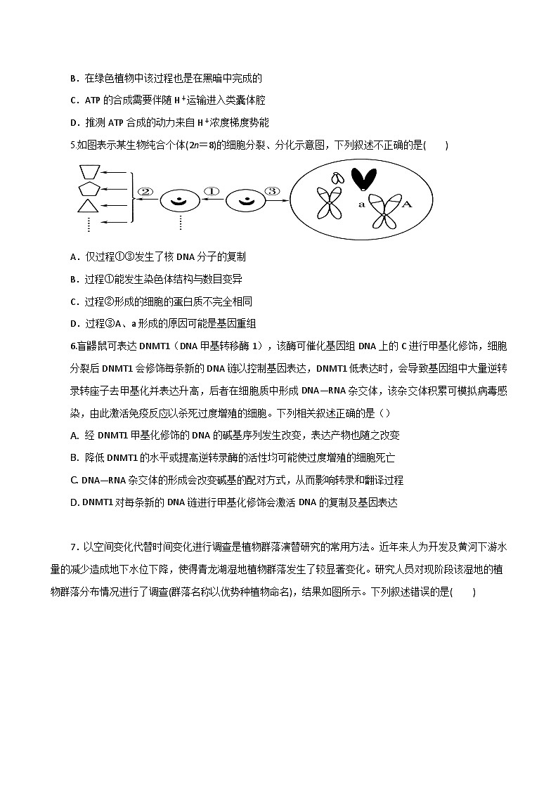 模拟卷01-【冲刺高考·临考模拟】备战2024年高考生物模拟卷（广东专用）03