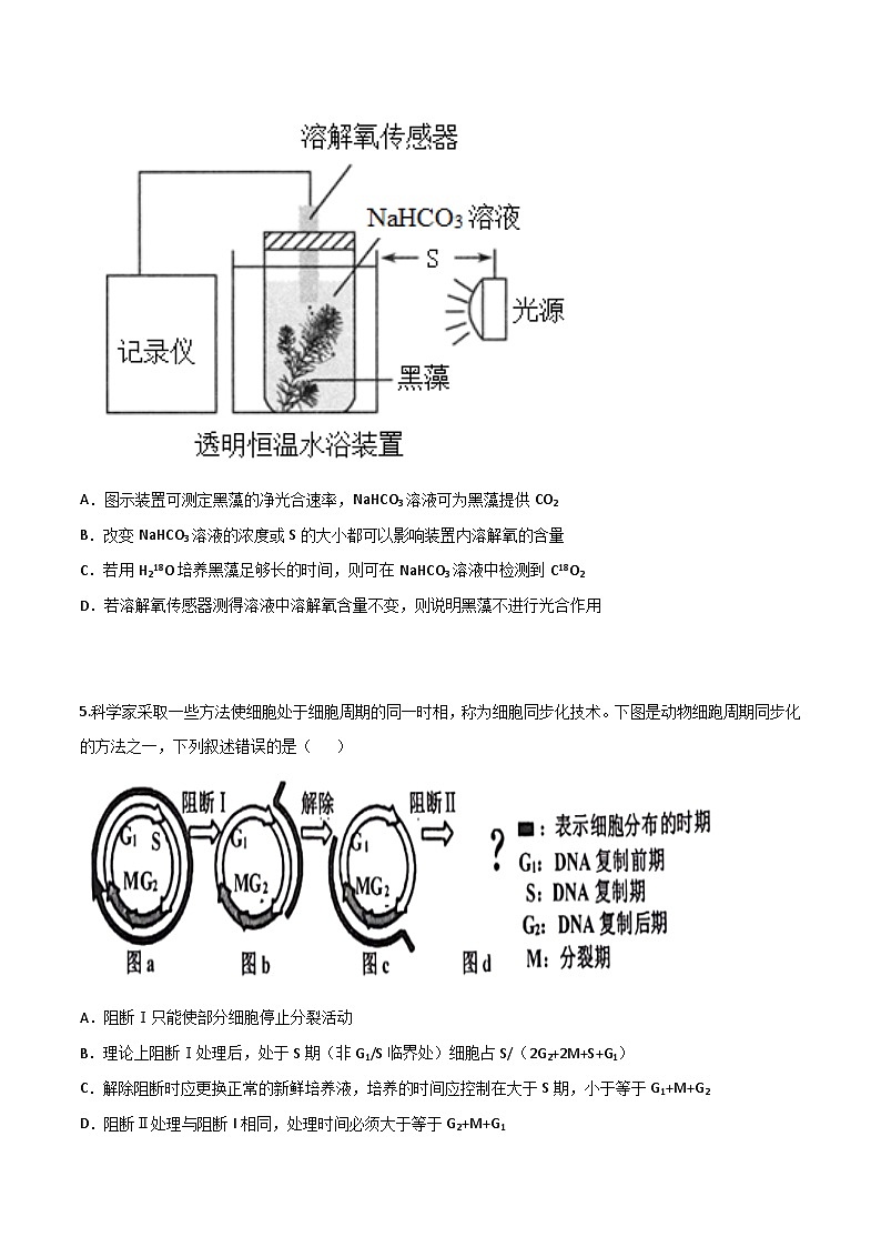 模拟卷02-【冲刺高考·临考模拟】备战2024年高考生物模拟卷（广东专用）03