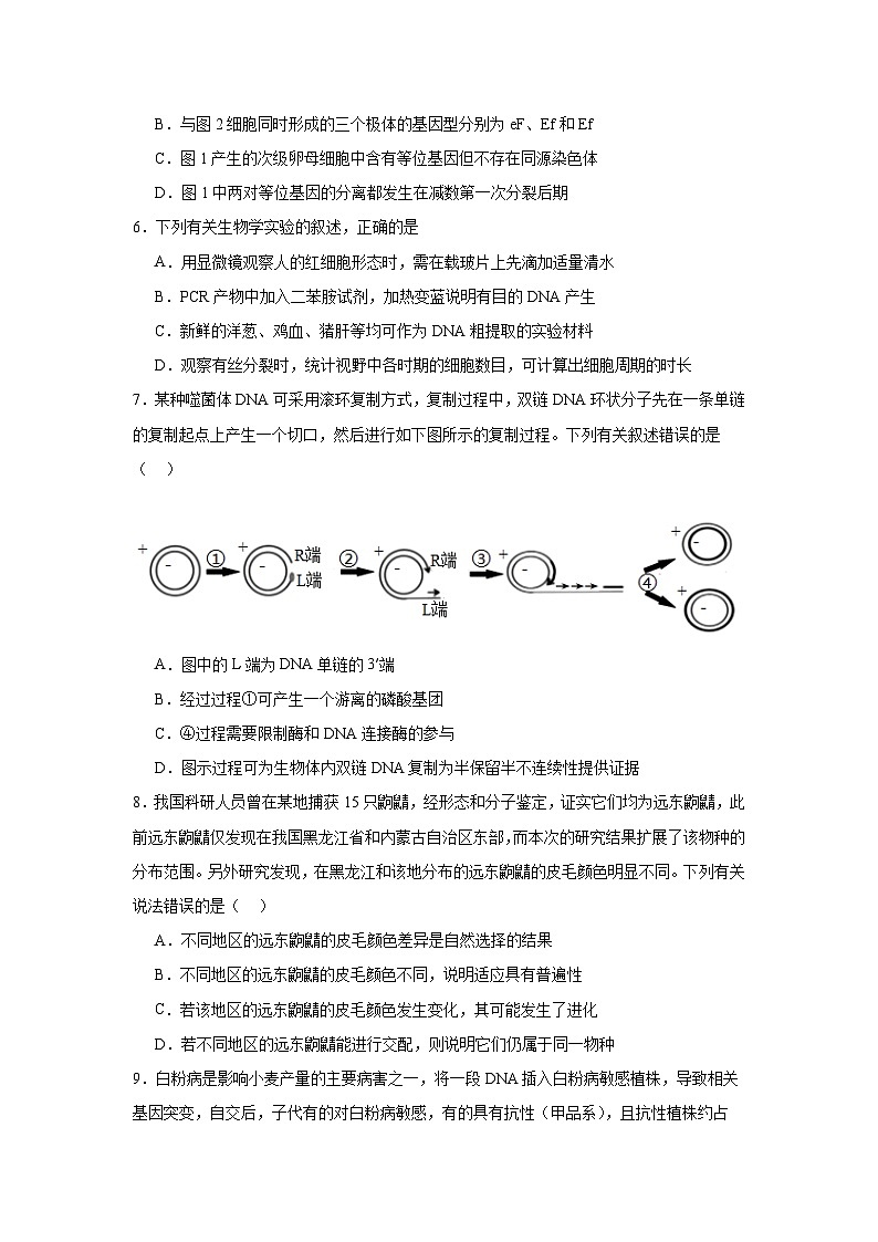 模拟卷01（考试版）-【赢在高考·临考模拟】备战2024年高考生物模拟卷（江苏专用）第3页