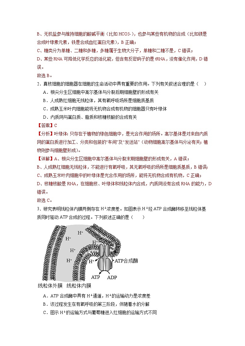 模拟卷01（解析版）-【赢在高考·临考模拟】备战2024年高考生物模拟卷（江苏专用）第2页