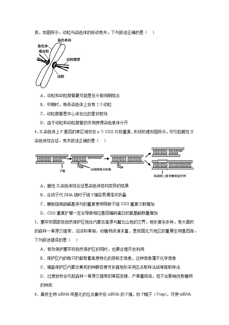 模拟卷08（考试版）-【赢在高考·临考模拟】备战2024年高考生物模拟卷（江苏专用）第2页