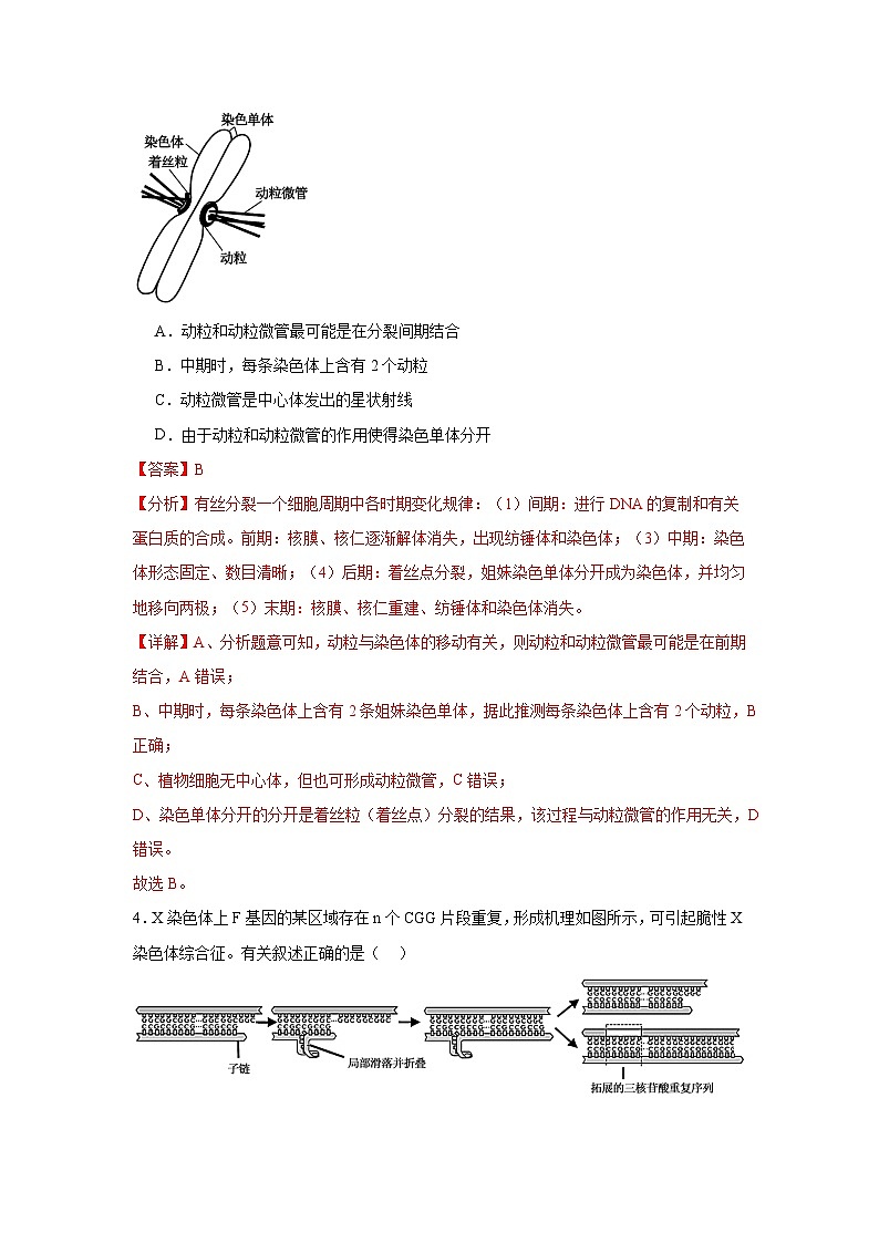 模拟卷08（解析版）-【赢在高考·临考模拟】备战2024年高考生物模拟卷（江苏专用）第3页