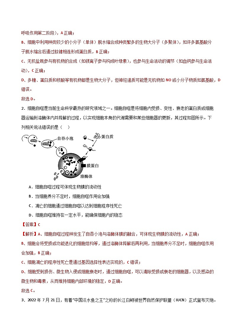 模拟卷04（解析版）-【赢在高考·临考模拟】备战2024年高考生物模拟卷（浙江专用）第2页