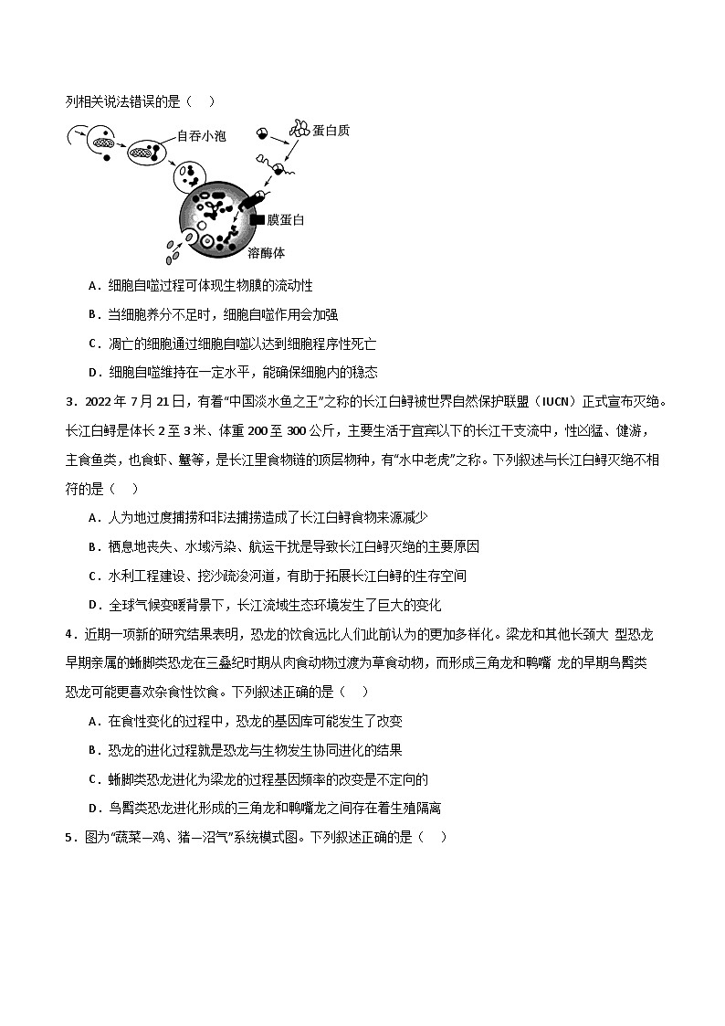 模拟卷04（考试版）-【赢在高考·临考模拟】备战2024年高考生物模拟卷（浙江专用）第2页