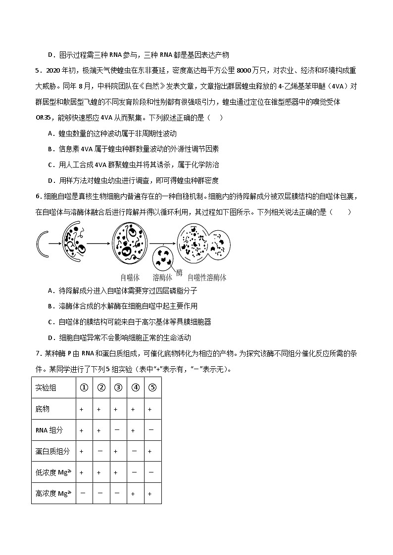 模拟卷07（考试版）-【赢在高考·临考模拟】备战2024年高考生物模拟卷（浙江专用）第3页