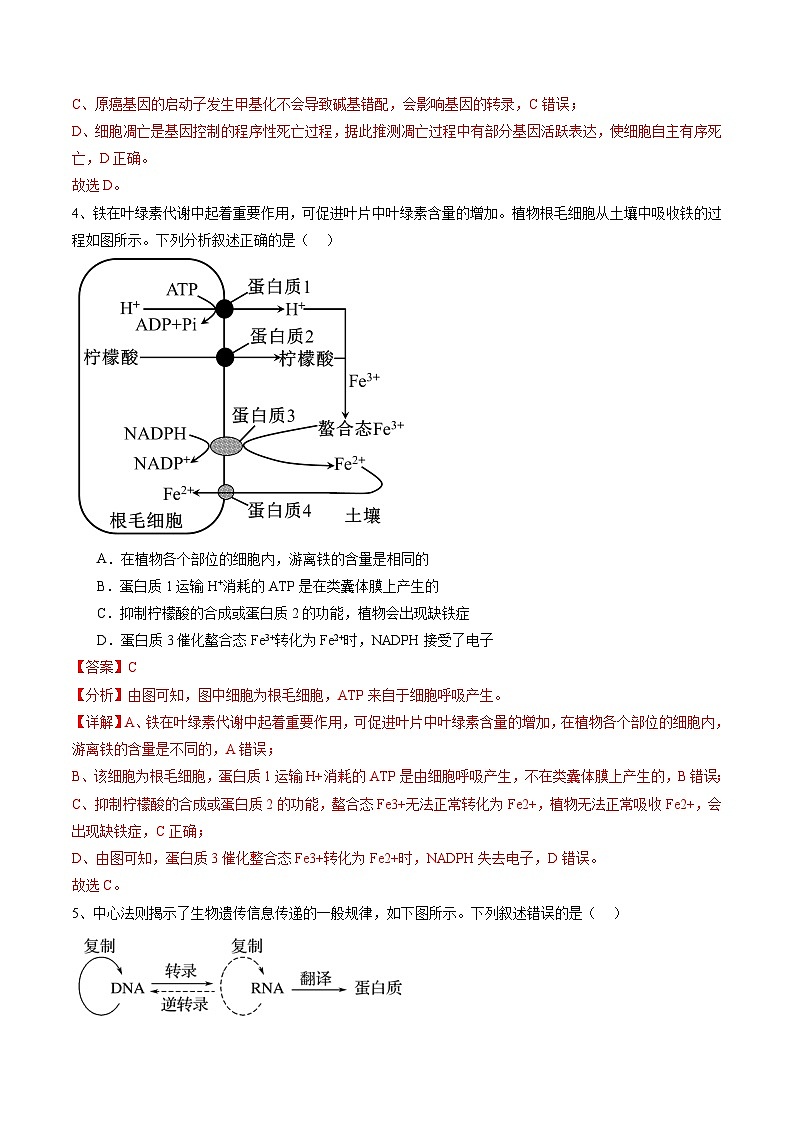 模拟卷04-备战2024年高考生物仿真演练模拟预测卷（湖北卷）03