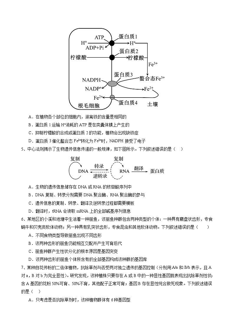 模拟卷04-备战2024年高考生物仿真演练模拟预测卷（湖北卷）02