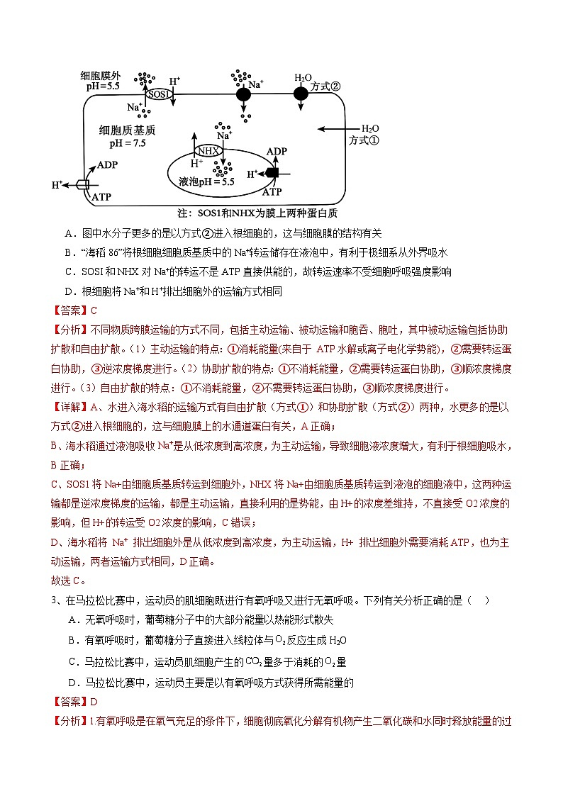 卷04-备战2024年高考生物仿真演练模拟预测卷（海南卷）（解析版）第2页