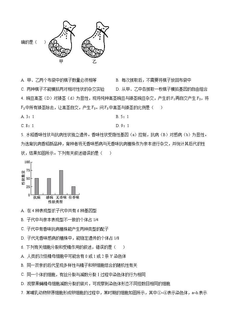 吉林省长春市第二实验中学2023-2024学年高一下学期期中考试生物试题（学生版+教师版）02