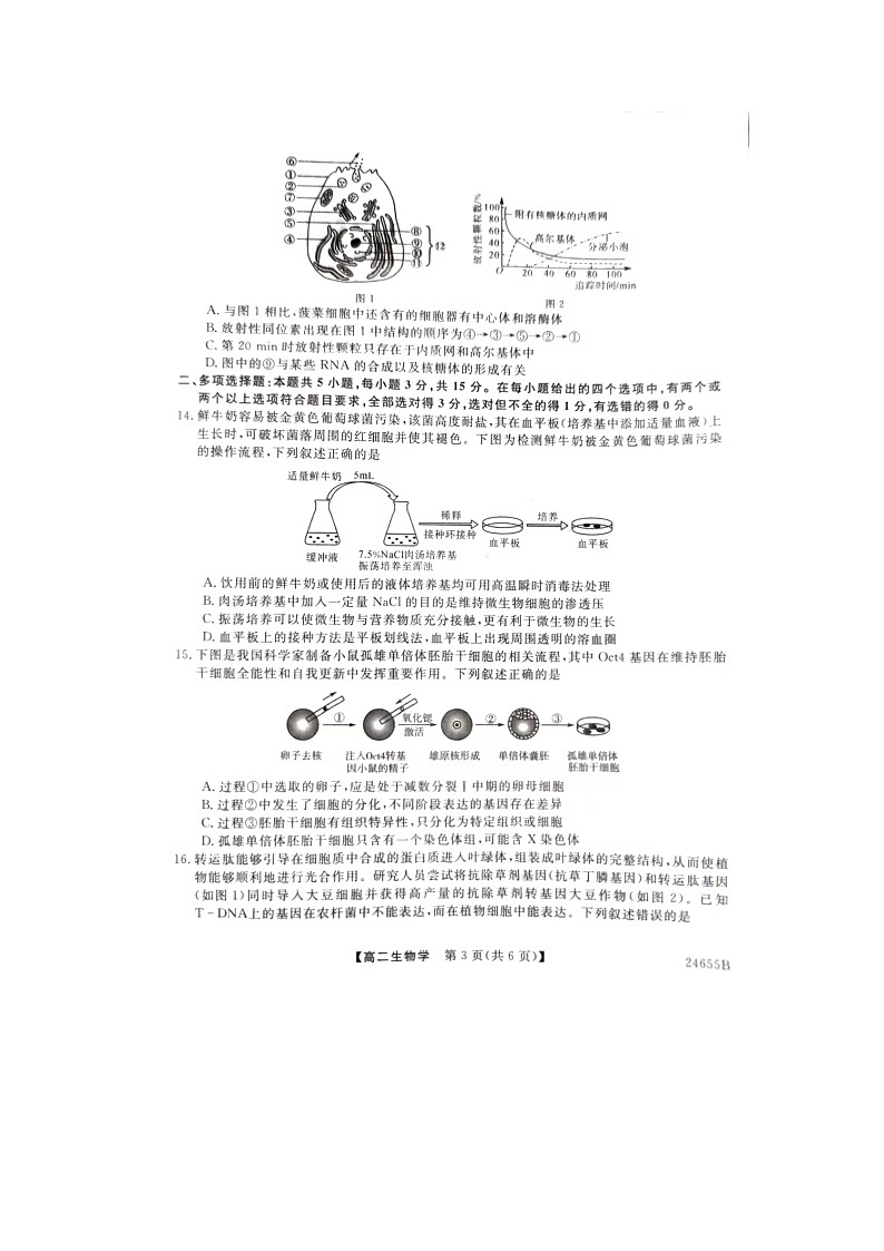 河北省石家庄市河北赵县中学2023-2024学年高二下学期5月月考生物试题03