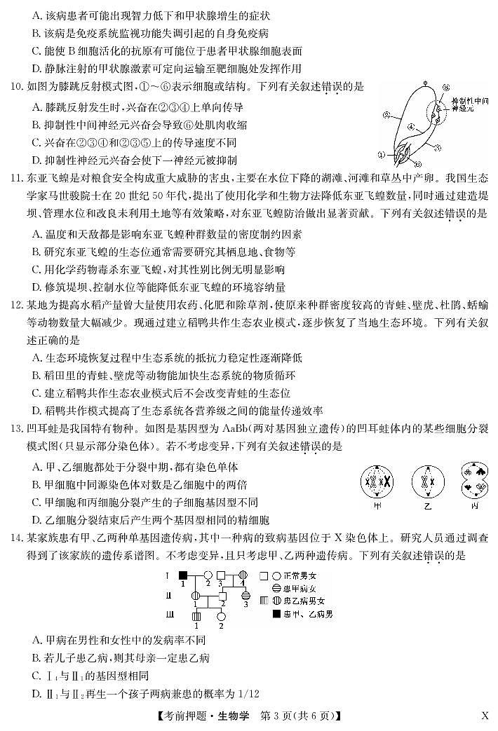九师联盟2024届高三年级下学期考前押题 生物试题及答案03