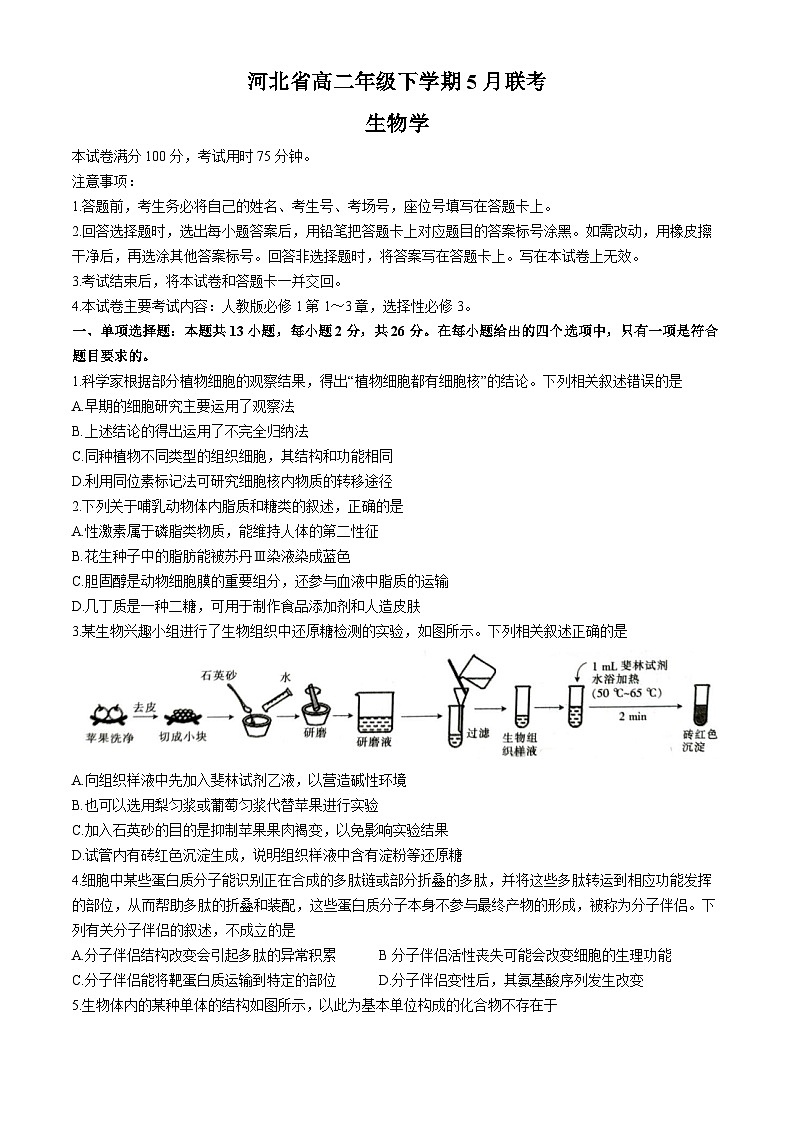 河北省保定市2023-2024学年高二下学期5月期中生物试题第1页