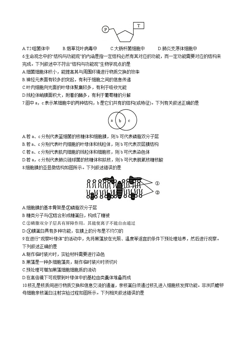 河北省保定市2023-2024学年高二下学期5月期中生物试题第2页