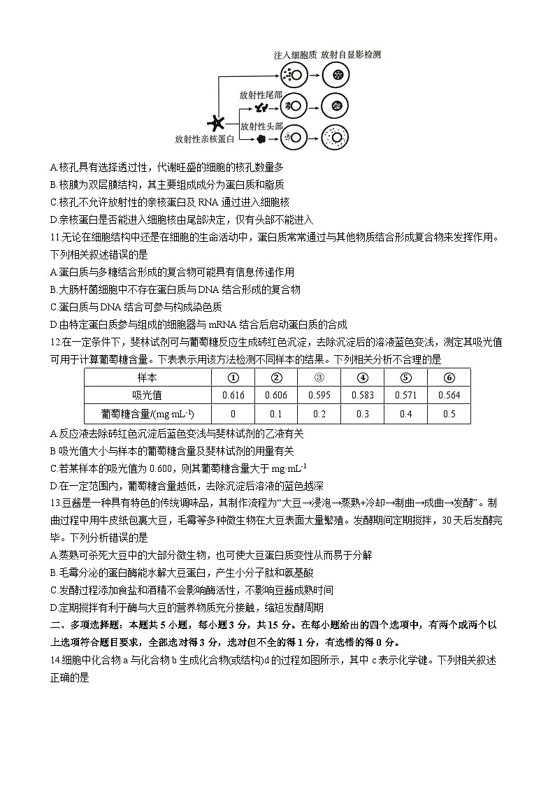 河北省保定市2023-2024学年高二下学期5月期中生物试题第3页