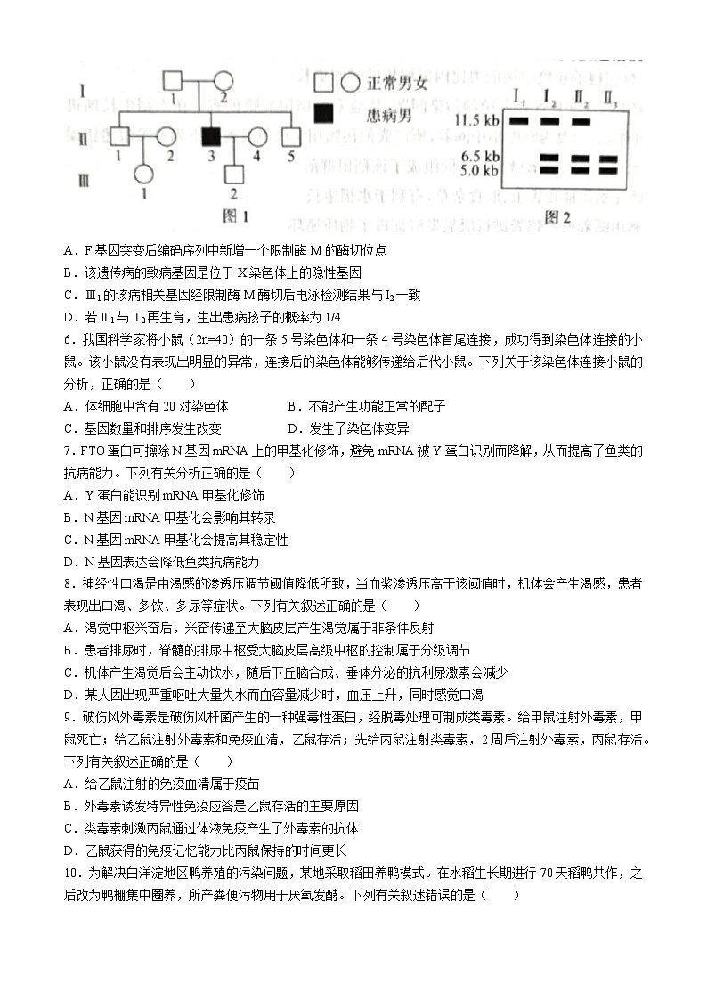 河北省张家口市尚义县第一中学等校2023-2024学年高三下学期模拟演练生物试题(无答案)02