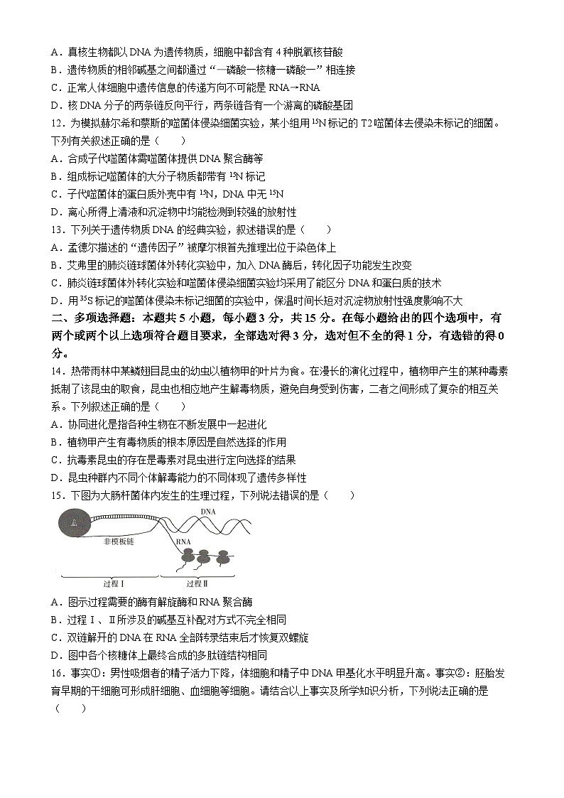 河南省濮阳市南乐县豫北名校2023-2024学年高一下学期5月月考生物试题(无答案)第3页
